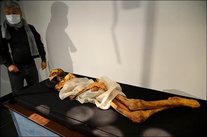 Iconic 2,500 Year Old Siberian Princess 'died From Breast Cancer ...